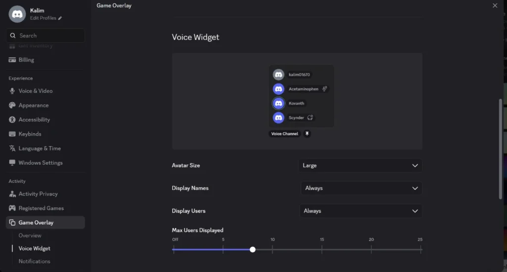 How to Customize the Voice Widget